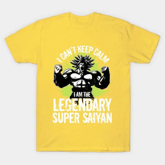 Dragon Ball Super Saiyan Legendary Broly T Shirt - KM0017TS